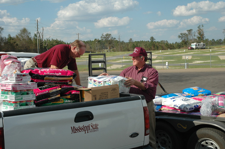 2 people loading supplies in a truck.
